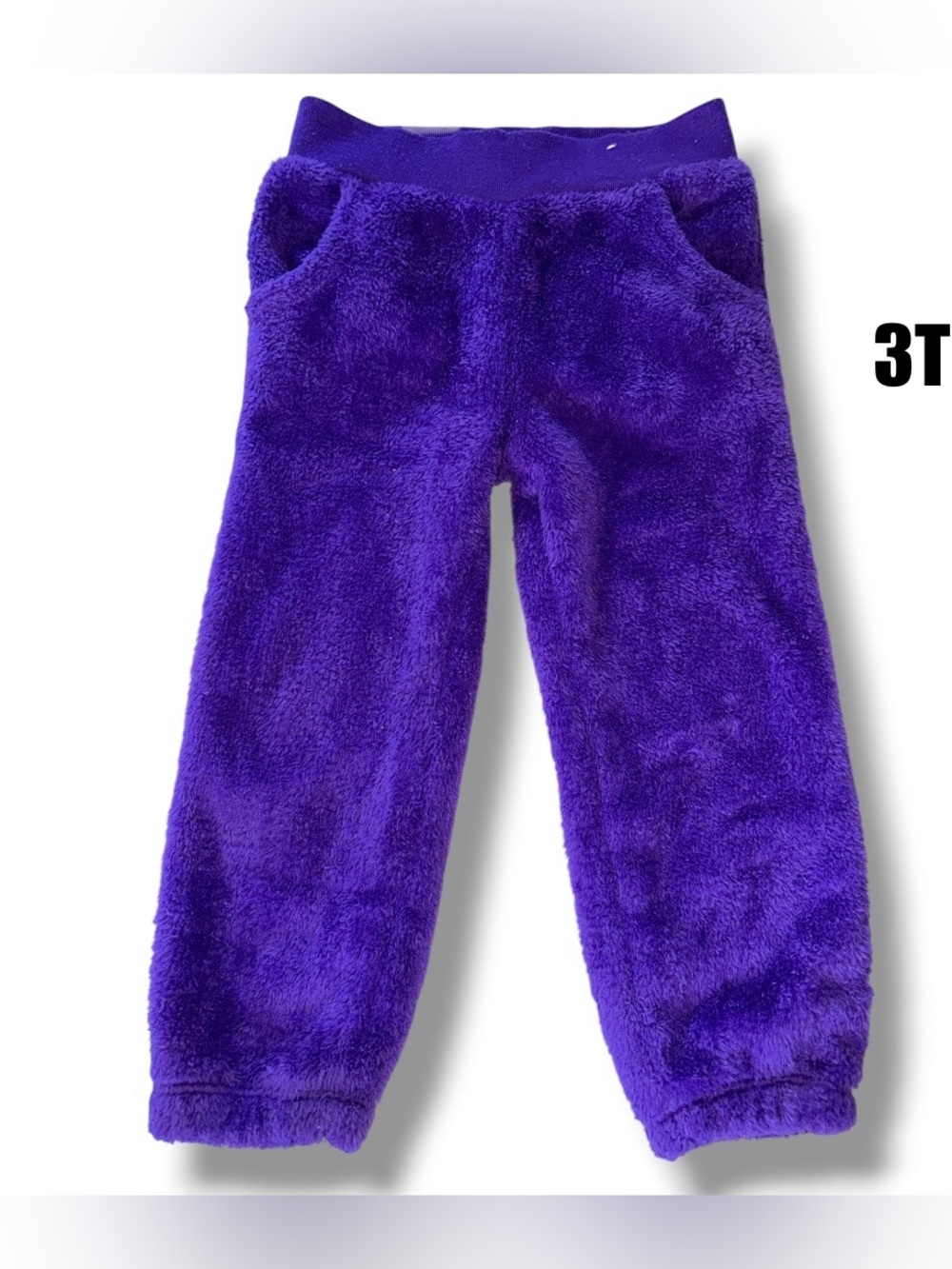 Garanimals Plush Purple Fleece Pants Size 3T
